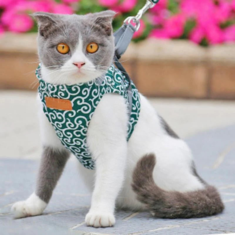 TravelPet™ | Kattentuig en Riem Set