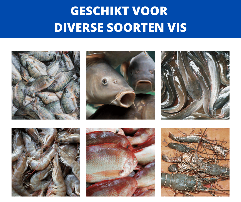 FishBait™ - Vis Aantrekker (60ml Concentraat)