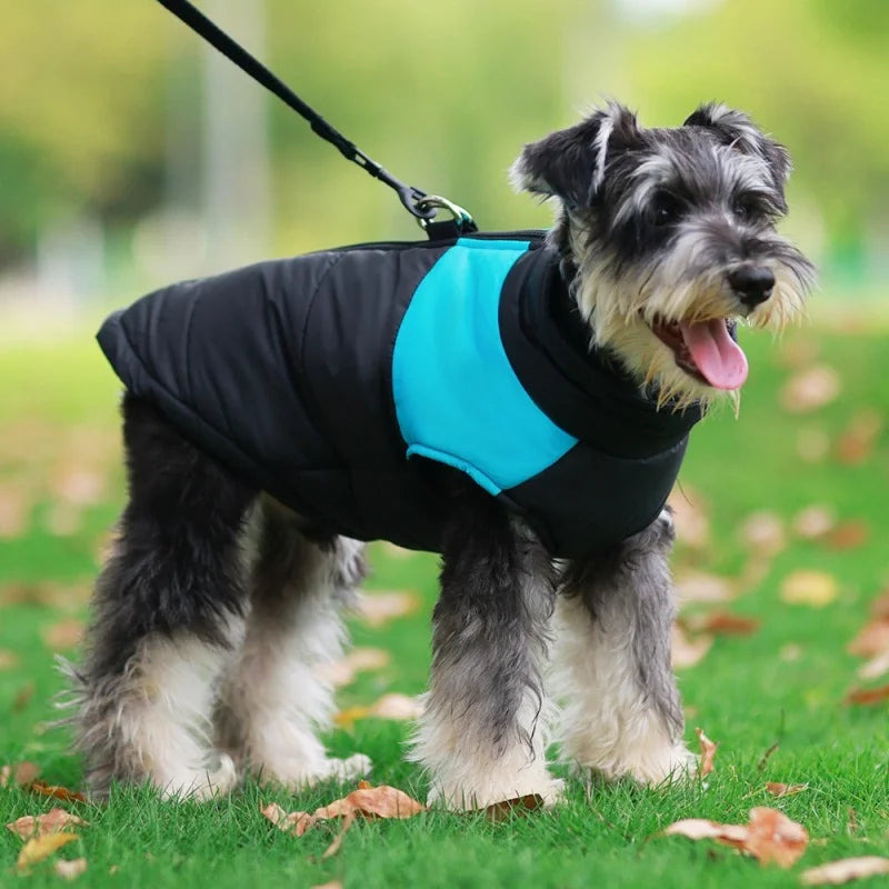 ComfyDog™ - waterdicht hondenvest 1+1 gratis!
