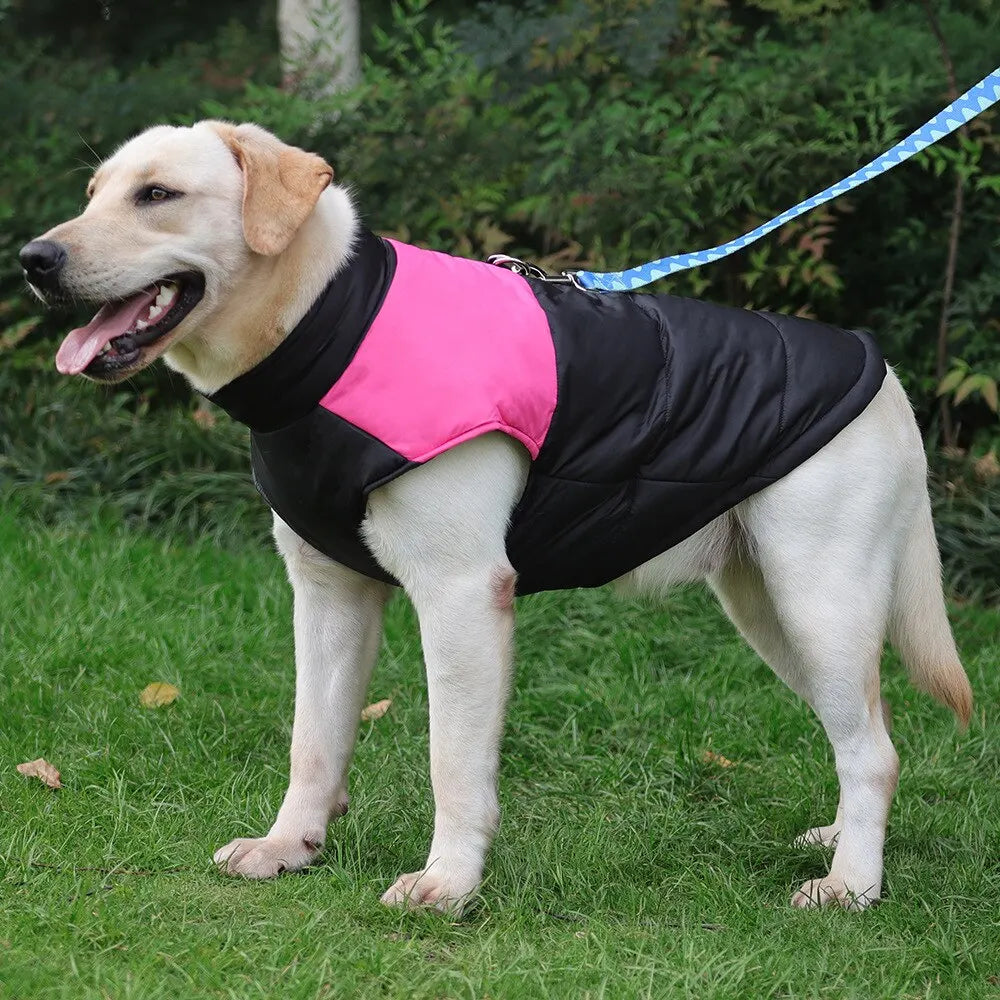 ComfyDog™ - waterdicht hondenvest 1+1 gratis!