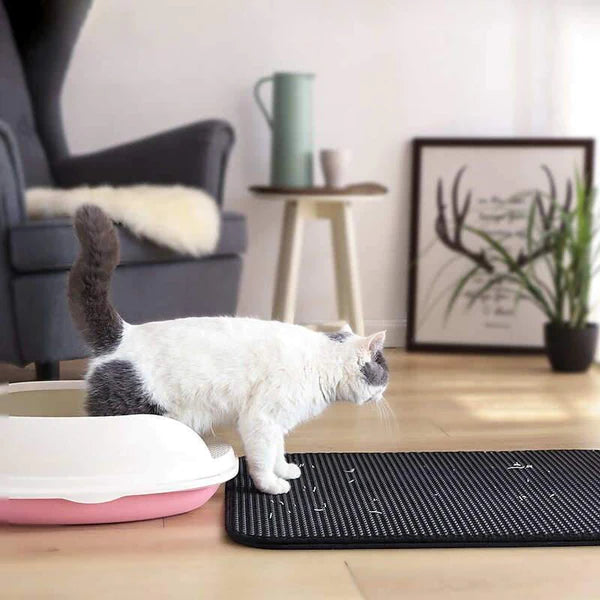 CatClean™- Laat de korrels verdwijnen